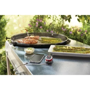 IGrill Mini – Accessoires Pour Grils Weber 9